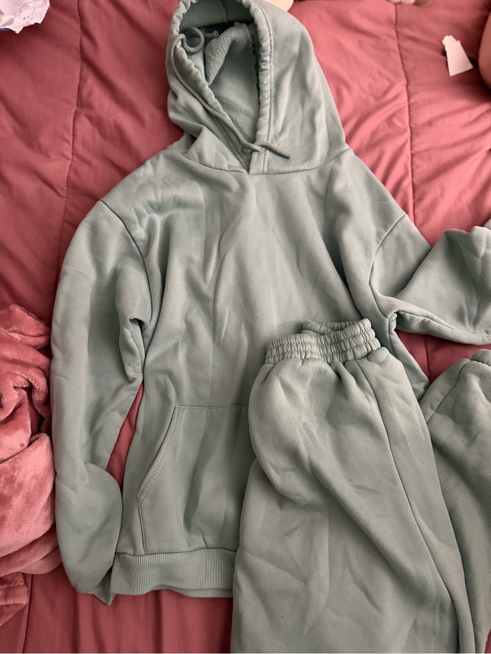 Cozy Hooded Sweatshirt and Jogger Set - Sage Green